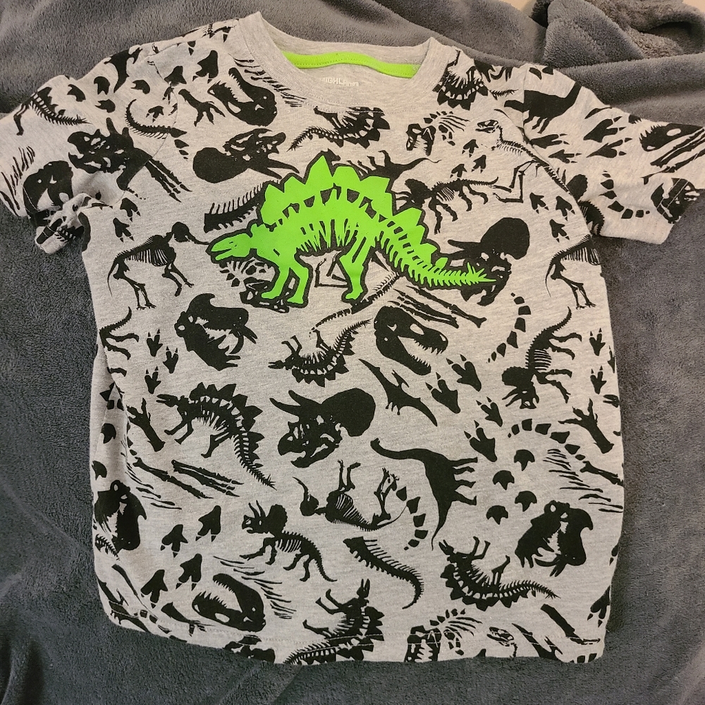 Boys dinosaur shirt